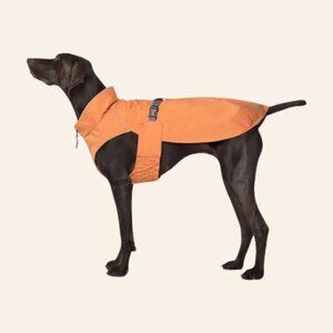 Canada Pooch Orange Expedition Raincoat (Size 12)